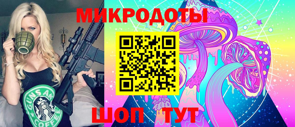 Псилоцибиновые грибы Psilocybine cubensis Красногорск