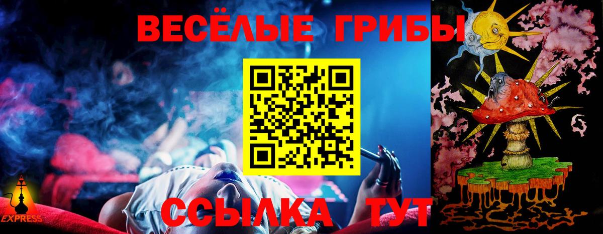 Псилоцибиновые грибы MAGIC MUSHROOMS  где можно купить наркотик  Вход с VPN  Красногорск  Галлюциногенные грибы Magic Shrooms 